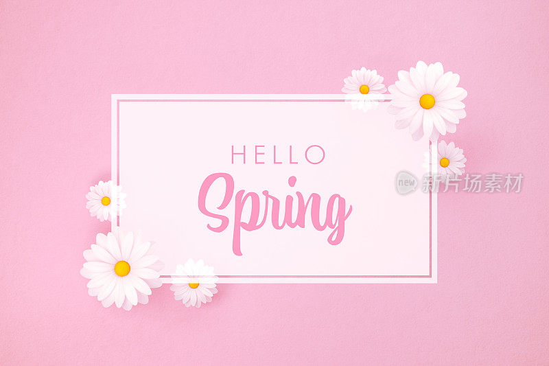 Hello Spring概念- Hello Spring信息和粉色背景上的白色雏菊